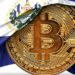 El Diplomado de Bitcoin, que comenzó a distribuirse en El Salvador en el 2022, cubre distintas temáticas del ecosistema. Fuente: Mi Primer Bitcoin.