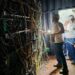 minería-Bitcoin-ANDE-Paraguay