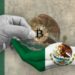 México-adopción-criptomonedas-Chainalysis