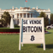 Las ventas de bitcoin del gobierno estadounidense podrían no haber terminado. Fuente: imagen generada por CriptoNoticias mediante Dall-E, de OpenAI.