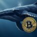 Las ballenas de bitcoin son aquellas entidades que controlan un conjunto de direcciones de billeteras que en total poseen al menos 1.000 BTC. Fuente: Grok.