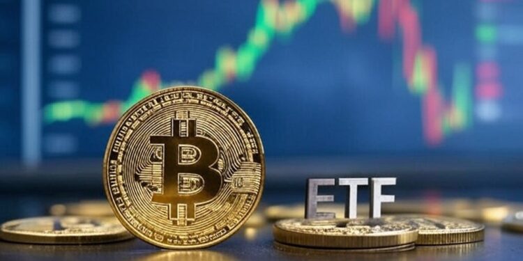 El mercado está a la expectativa de nuevos anuncios sobre bitcoin por parte de Donald Trump. Fuente: Grok.