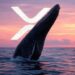 Se detectan grandes movimientos de ballenas de XRP. Fuente: Grok.