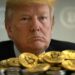 Trump busca expandir su presencia en el ecosistema de criptomonedas. Fuente: Grok.