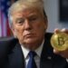 Trump impulsaría un ambiente más amigable para las criptomonedas. Fuente: Grok.