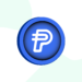 : A través de PYUSD, PayPal facilita pagos digitales en criptomonedas con la estabilidad de un respaldo 1:1 en dólares.