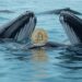 Las ballenas están impulsando el precio de bitcoin. Fuente: Grok.