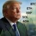 Trump impacta sobre el mercado de las criptomonedas. Fuente: Grok.