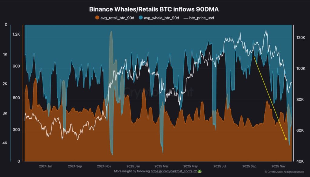 Gráfico de bandas de colores que representan los movimientos de las ballenas de bitcoin. 